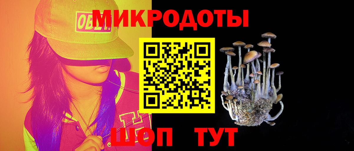 Артёмовский  Псилоцибиновые грибы мухоморы  Вход с VPN  Псилоцибиновые грибы Psilocybine cubensis 